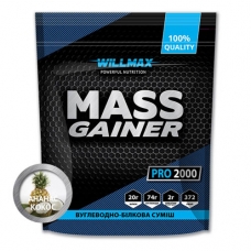 Wilmax mass gainer 2kg