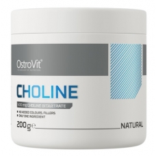 OstroVit Choline 200 g supreme pure