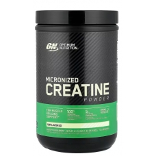 Optimum Nutrition Creatine Powder 600 gram (USA)